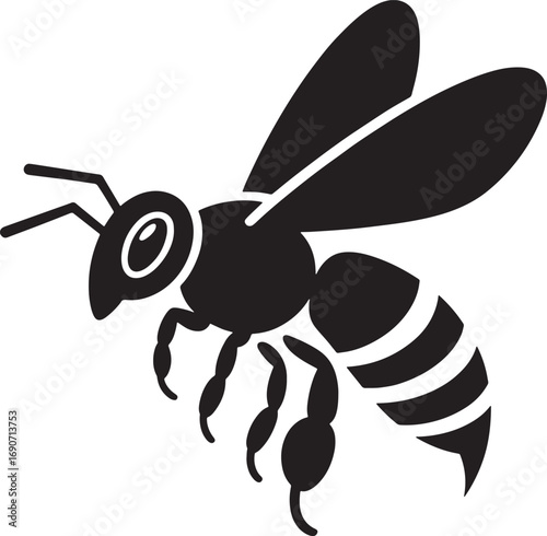 Detailed Honey Bee Silhouette Flying with Wings Spread on Transparent Background Design
