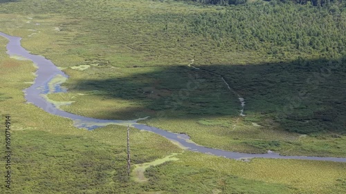 A Clouds Shadow Racing Across a Swamp