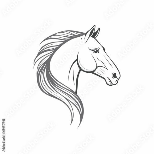 Elegant Horse Head Profile Graceful Line Art Illustration