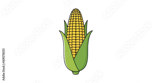 Fresh yellow corn on the cob with green husks.
