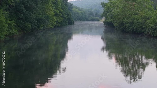 river in the forest