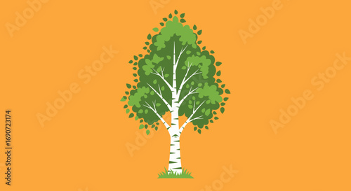 Vibrant green birch tree with lush foliage and white bark.