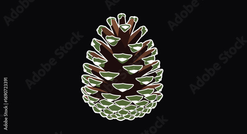 Single pine cone with highlighted edges on a dark background.