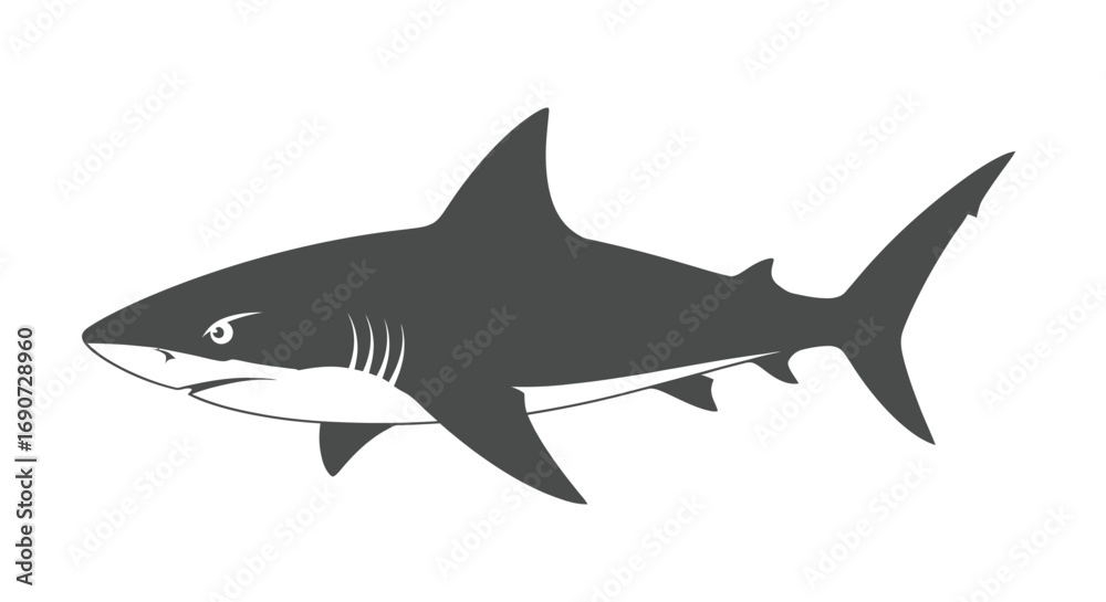 Fototapeta premium Monochrome vector illustration of a fierce shark.