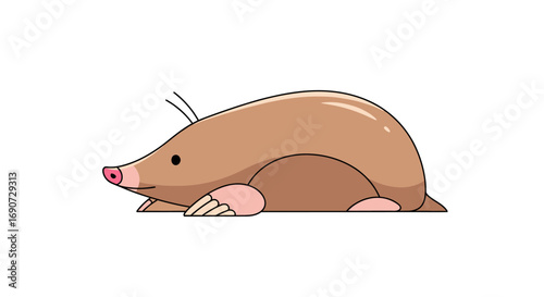 Cute cartoon mole illustration side view brown fur pink nose small eyes detailed paws.