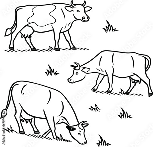 Cute cow face cartoon doodle hand drawn icon. Outline drawing cute cow face cartoon line clipart symbol