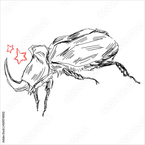 Rhinoceros beetles. Vector black and white hand-drawn illustration. Biological. Tattoo sketch. Print for clothes, cups, sketchbooks, stickers, pins. Simplified stylization. Line art. Cute Bug, insect.