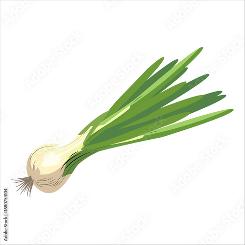 Simple illustration of a green onion with white bulb. Perfect for cooking or garden themes.