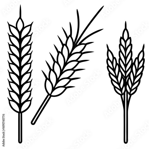 Wheat Bundle Vector Icon
