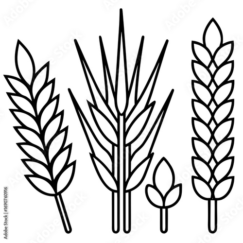 Wheat Bundle Vector Icon
