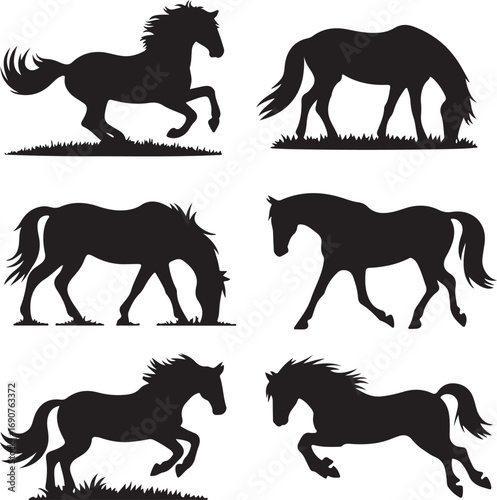 Silhouettes of Horses in Various Poses on White Background Keywords: horse, horses, equine, animal