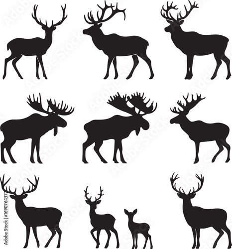 Collection of Black Silhouettes of Deer and Moose with Antlers Keywords: deer, moose, elk, stag