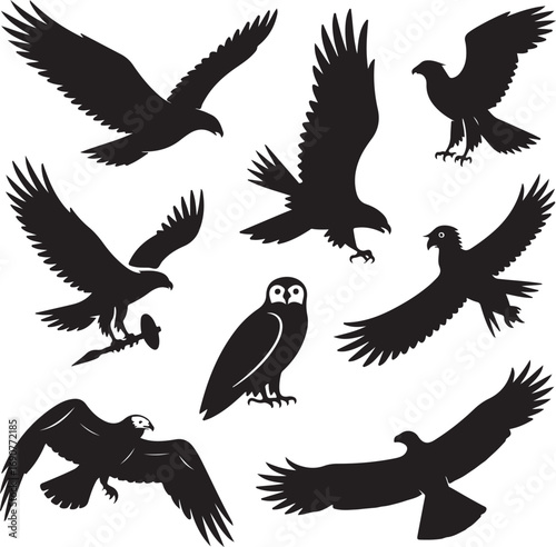 Collection of bird silhouettes including eagles owls and hawks on white Keywords: bird, silhouette