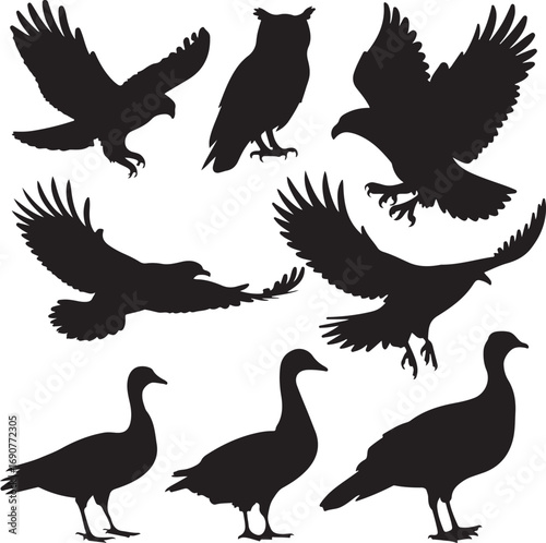 Silhouettes of birds of prey and waterfowl on a white background Keywords: bird, silhouette, eagle