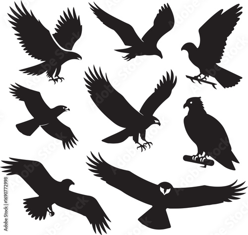 Collection of Eagle and Hawk Silhouettes in Various Flying and Perching Poses Keywords: eagle, hawk