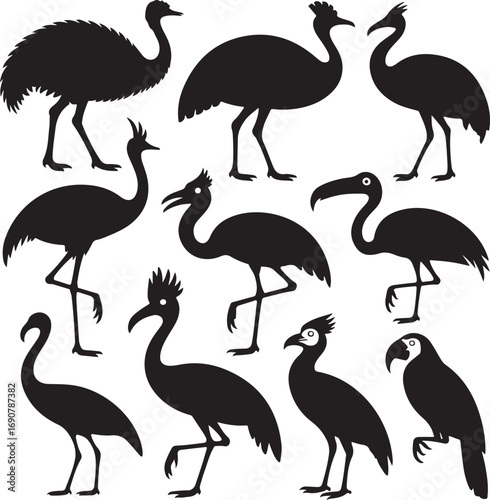 Collection Of Various Bird Silhouettes With Emus Flamingos And Parrots vector illustration