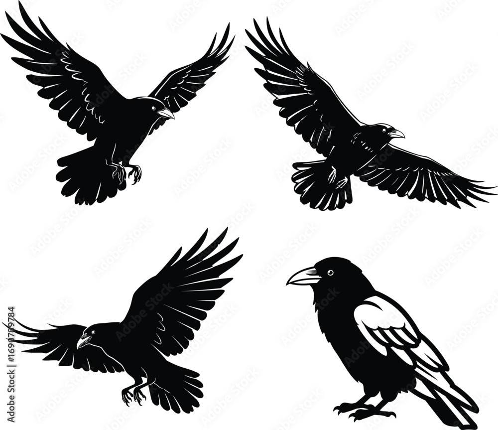 Fototapeta premium Crow Silhouettes: From Myth to Modern Design