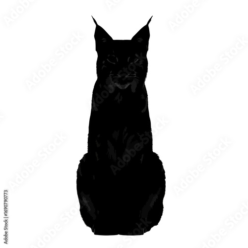 Black lynx silhouette sitting on white background isolated on white background