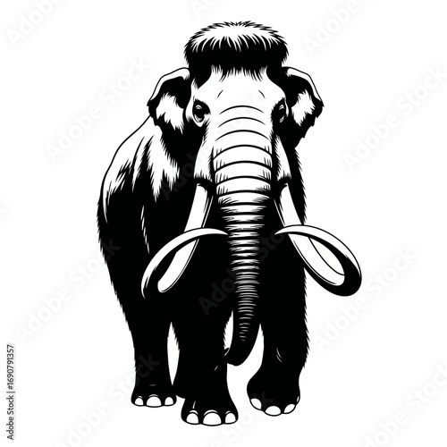 Mammoth silhouette isolated on white background