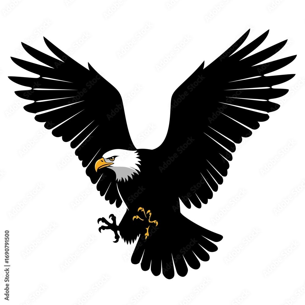 Obraz premium Bald eagle in flight silhouette isolated on white background