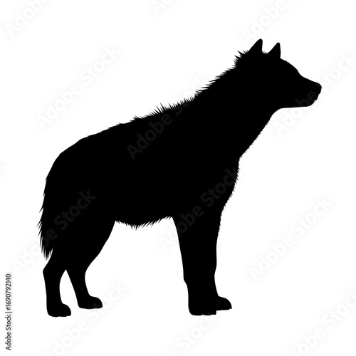 Hyena silhouette standing profile isolated on white background