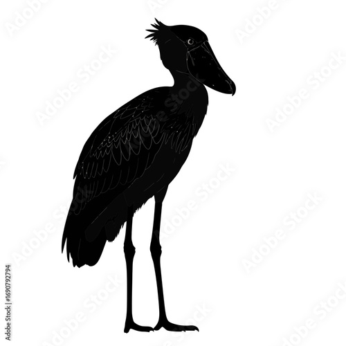 Shoebill stork silhouette isolated on white background