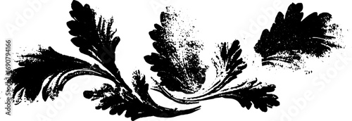 Grunge black and white acanthus leaf design for vintage and tribal art