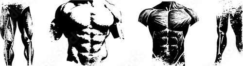 Grunge black and white muscular arm and torso illustration set for urban design