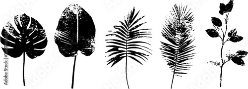 Grunge black and white botanical illustration set for creative design