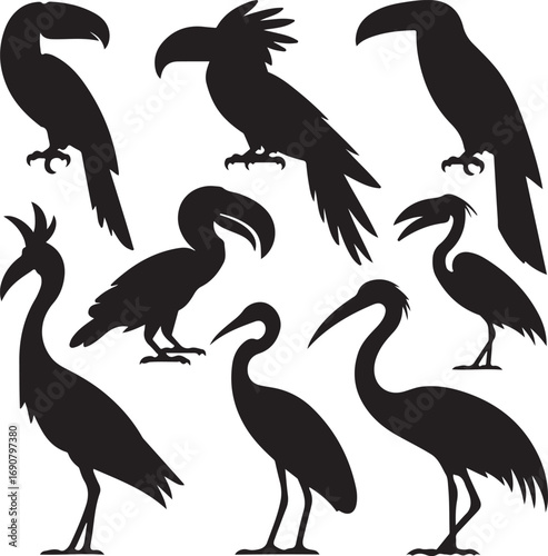 Assortment of Black Silhouettes of Exotic and Water Birds Keywords: toucan, parrot, macaw, cockatoo