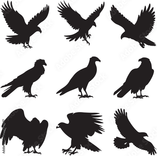 Nine black silhouette eagle and vulture poses on white background hawk bird of prey