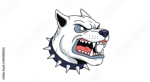 Fierce white pitbull terrier head with spiked collar roaring aggressively with bared teeth