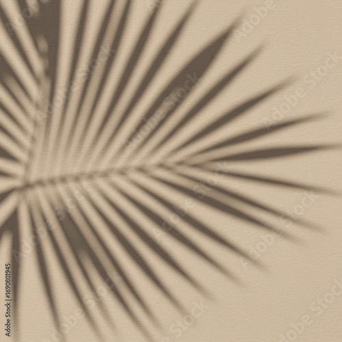 Shadow of a Palm Leaf on Beige Textured Background Soft Light Minimalist Nature Photography Neutral Tones Summer Aesthetic Tropical Plant Shadow Play