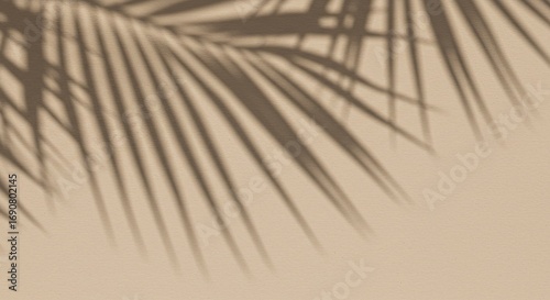 Shadowy Palm Fronds on Beige Background: Detailed Textured Image of Tropical Leaf Shadows Projected on Light Brown Surface