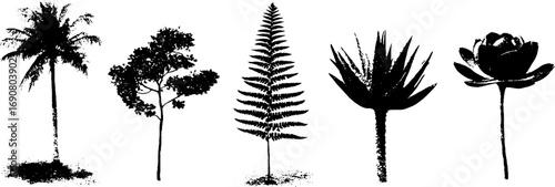 Grungy black and white botanical silhouette set for creative design projects