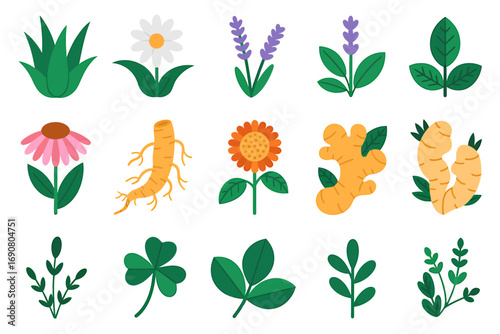 A set of 15 colorful flat design icons featuring medicinal herbs, healing plants, and natural remedy ingredients like ginger, ginseng, and lavender.