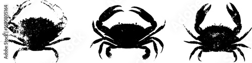 Grunge black and white crab silhouette design set for artistic projects