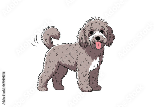 Adorable gray curly haired dog standing with its tongue out