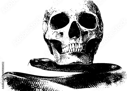 Grunge black and white skull with snake illustration for urban design
