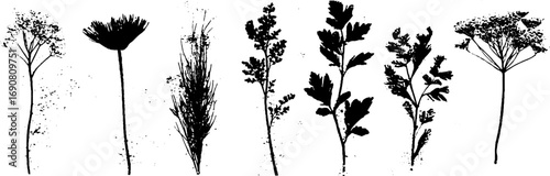 Grunge black and white botanical silhouettes for design, poster, card, or print projects