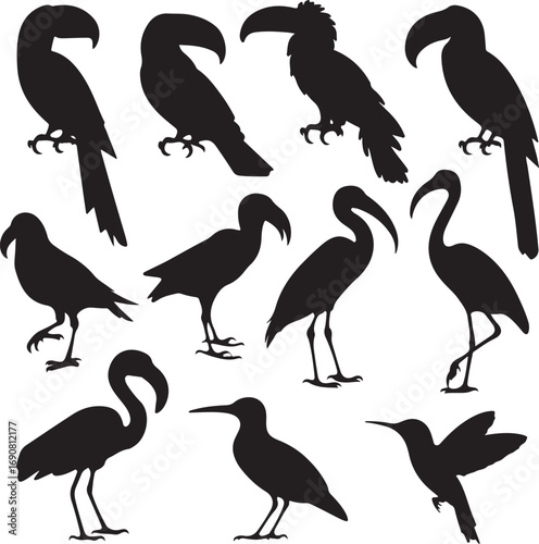 Collection of black tropical and wading bird silhouettes Keywords: bird, silhouette, toucan, parrot