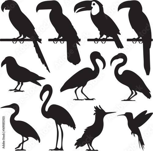 Collection of Tropical Bird Silhouettes on White Background Keywords: parrot, toucan, flamingo