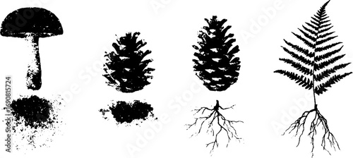 Grunge black and white forest elements set - mushroom, pinecone, fern for design