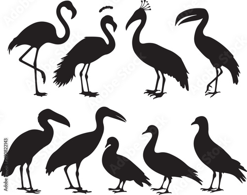 Diverse Collection of Bird Silhouettes in Black and White flamingo stork