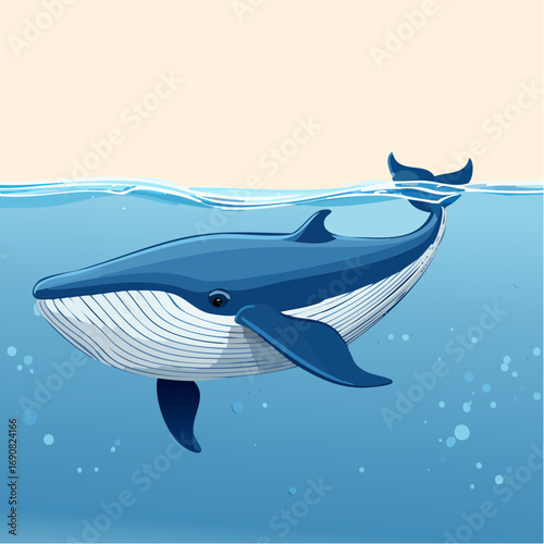 A charming vector illustration of a majestic blue whale swimming peacefully in the deep blue ocean with a view of the water's surface