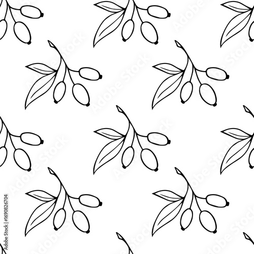 Pattern Hawthorn Berry Branches with Round Small Pome Fruits.