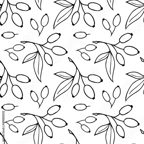 Pattern Hawthorn Berry Branches with Round Small Pome Fruits.