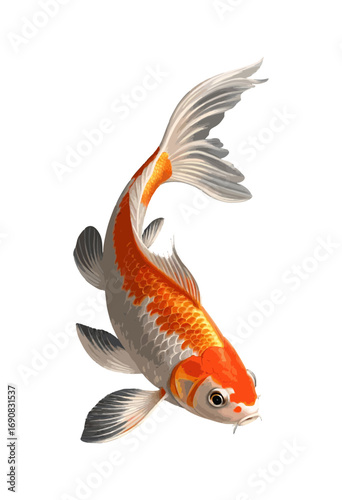 goldfish on white background