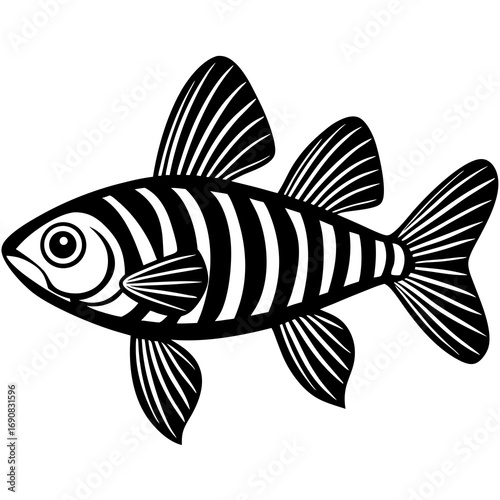 Zebra Danio Fish vector 