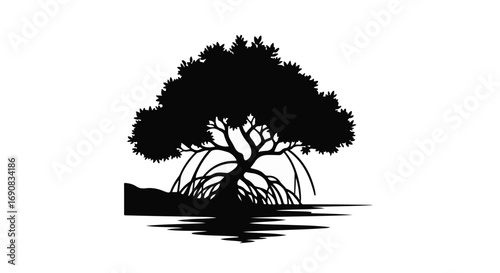 Silhouette of a resilient mangrove tree with exposed roots reflected in calm water